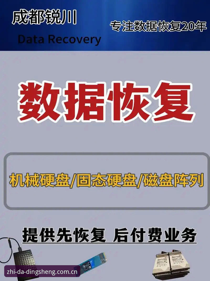 鼎盛体育平台2025版入口直接装功能详解：一次基于数据的选择